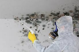 Best Commercial Mold Inspection  in Lawndale, CA